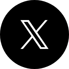 公式X