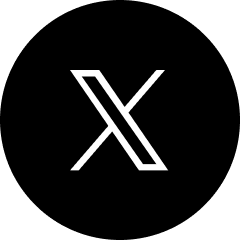 公式X