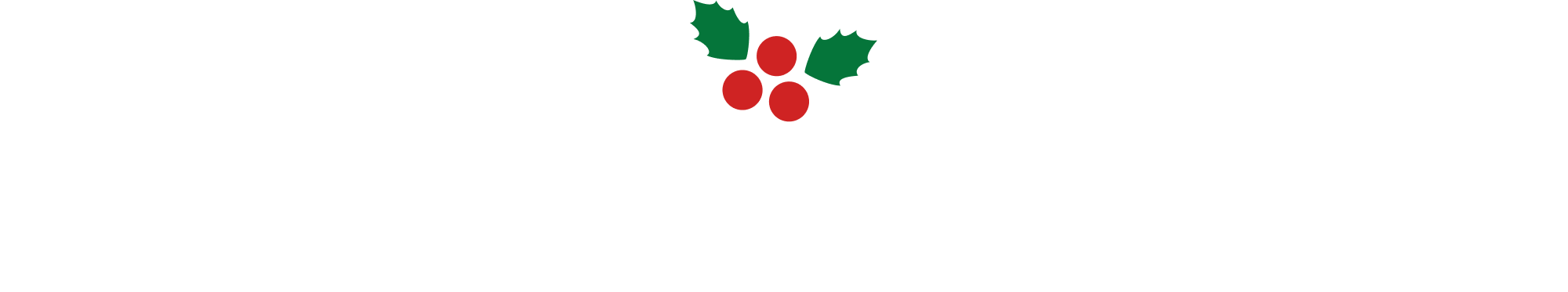 おすすめトイ