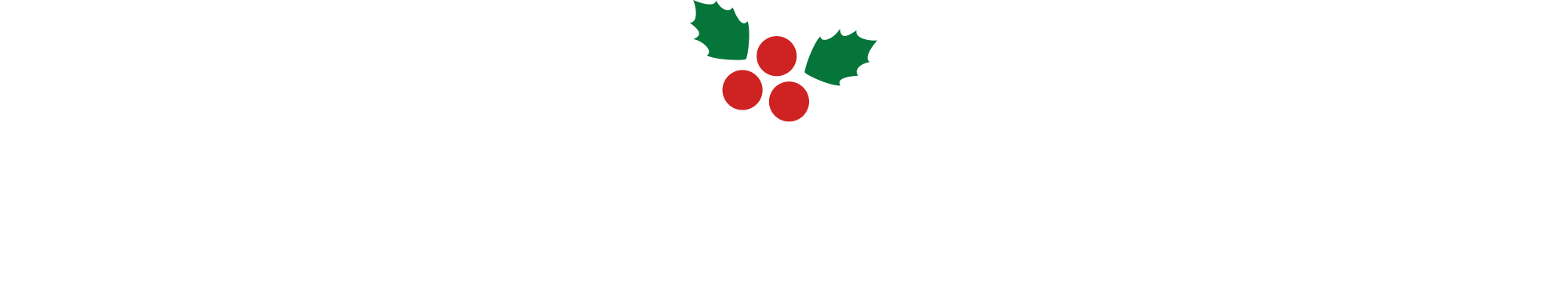 バラエティトイ