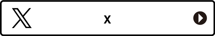 公式X