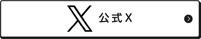 公式X