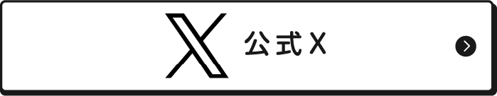 公式X