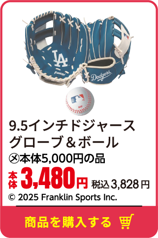 9.5インチドジャースグローブ＆ボール